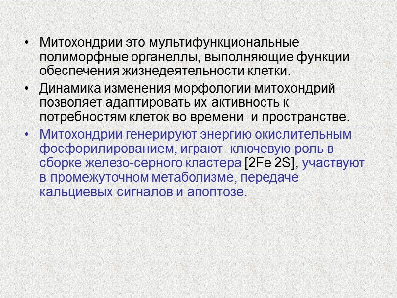 Митохондрии это мультифункциональные полиморфные органеллы, выполняющие функции обеспечения жизнедеятельности клетки.  Динамика изменения морфологии